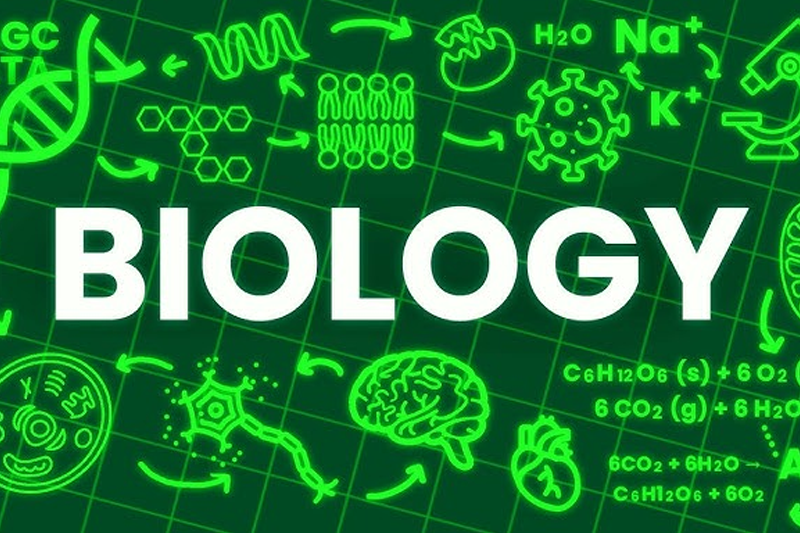 Science Stream