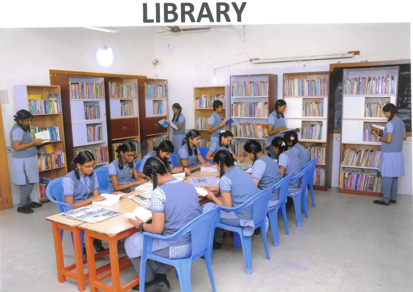 Library – SGAMHSS